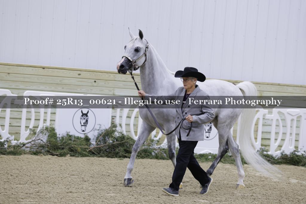 Proof 25R13_00621