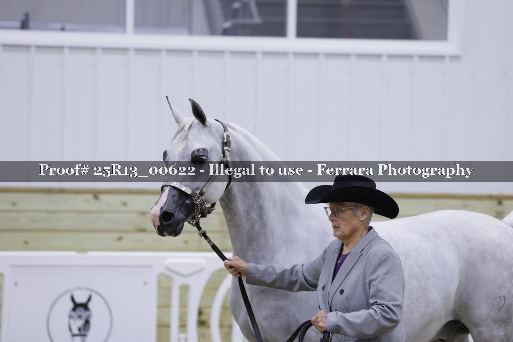 Proof 25R13_00622