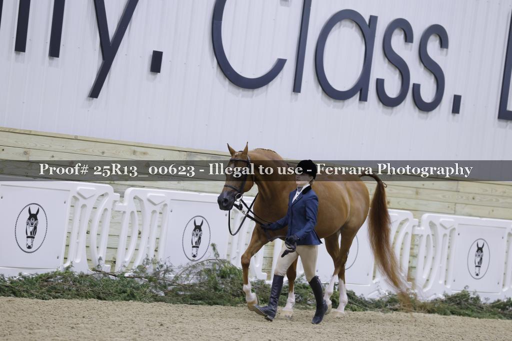 Proof 25R13_00623