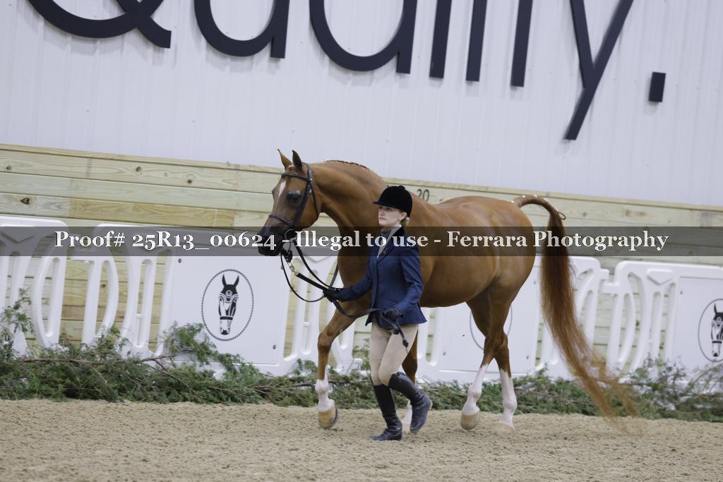 Proof 25R13_00624