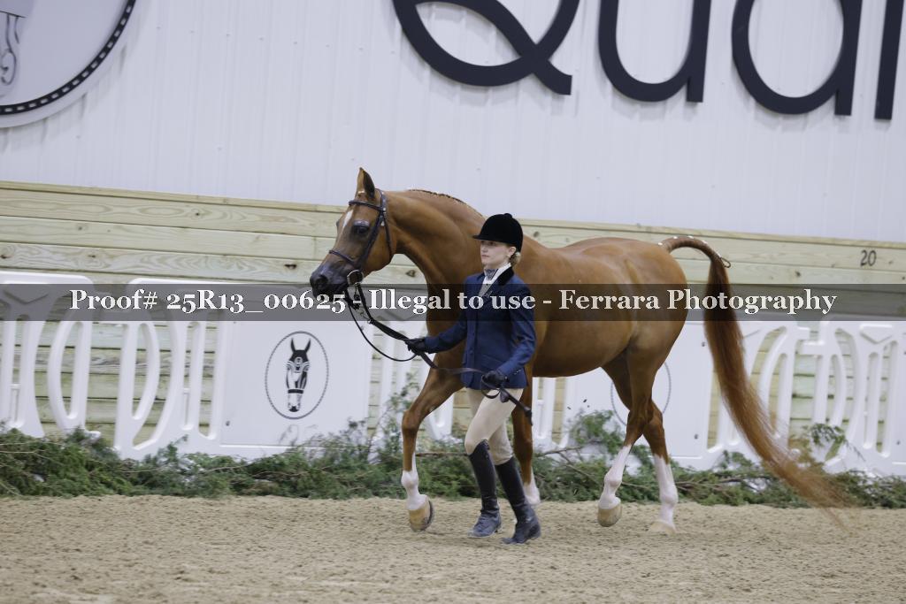 Proof 25R13_00625