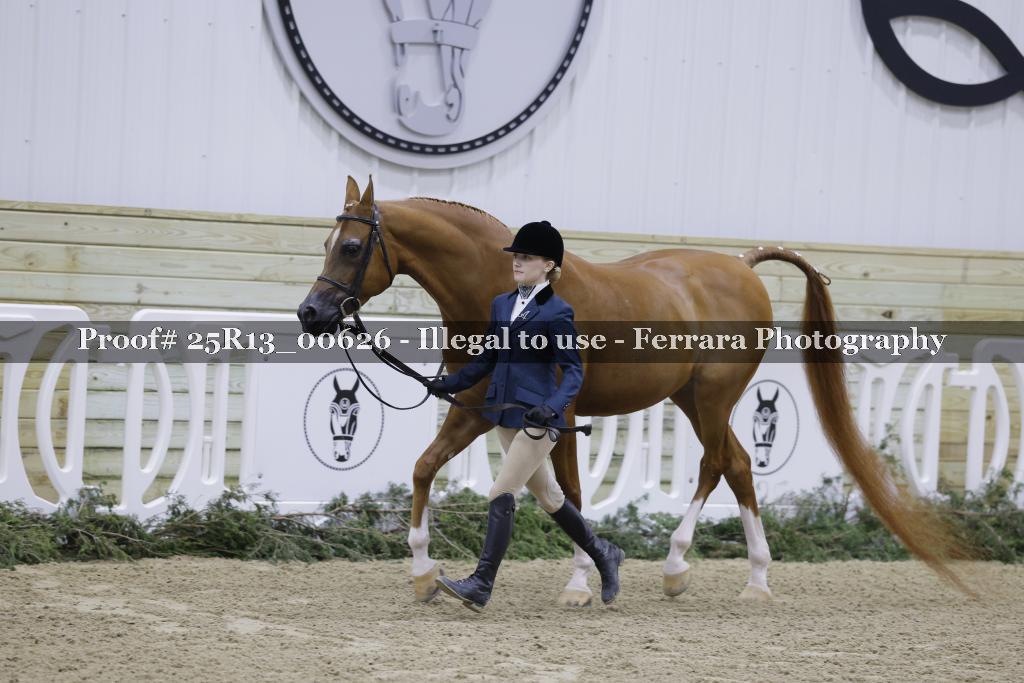 Proof 25R13_00626