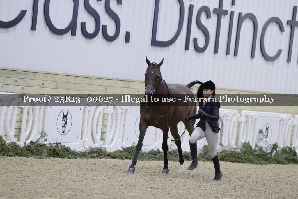 Proof 25R13_00627