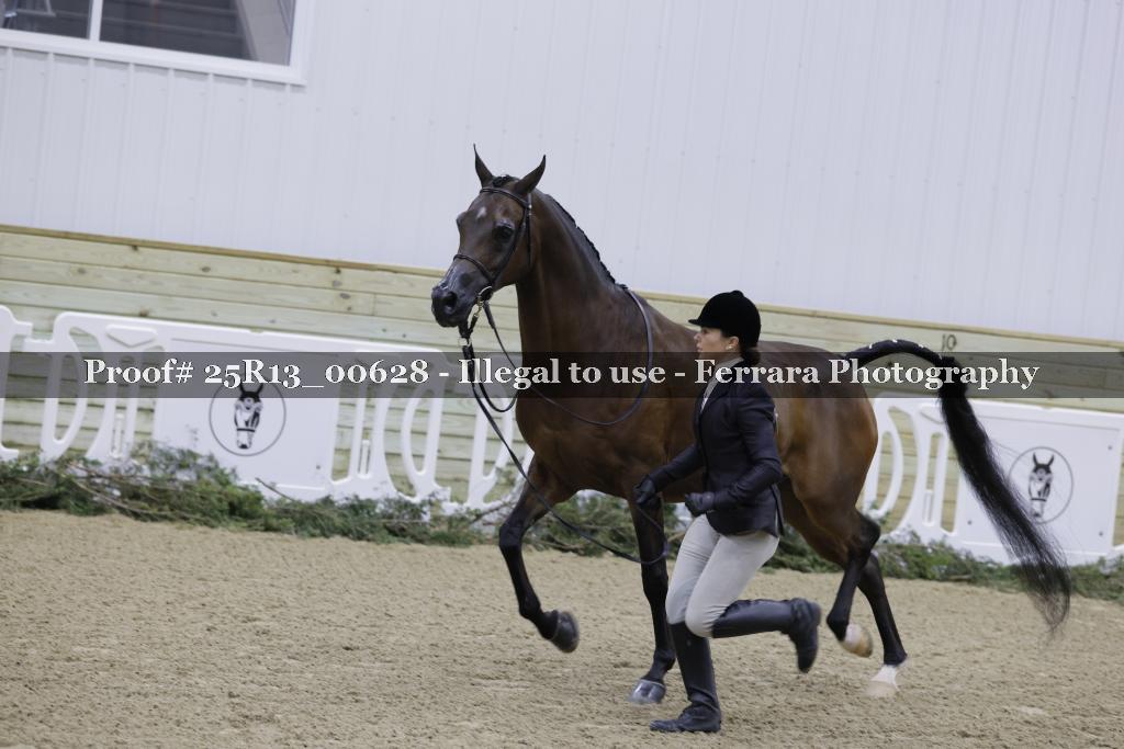 Proof 25R13_00628