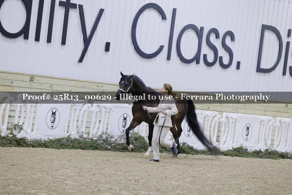 Proof 25R13_00629