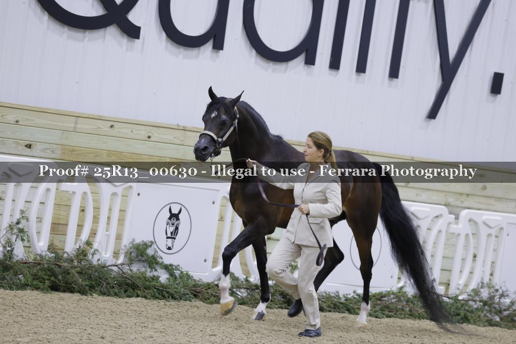 Proof 25R13_00630