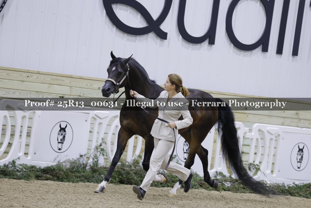 Proof 25R13_00631
