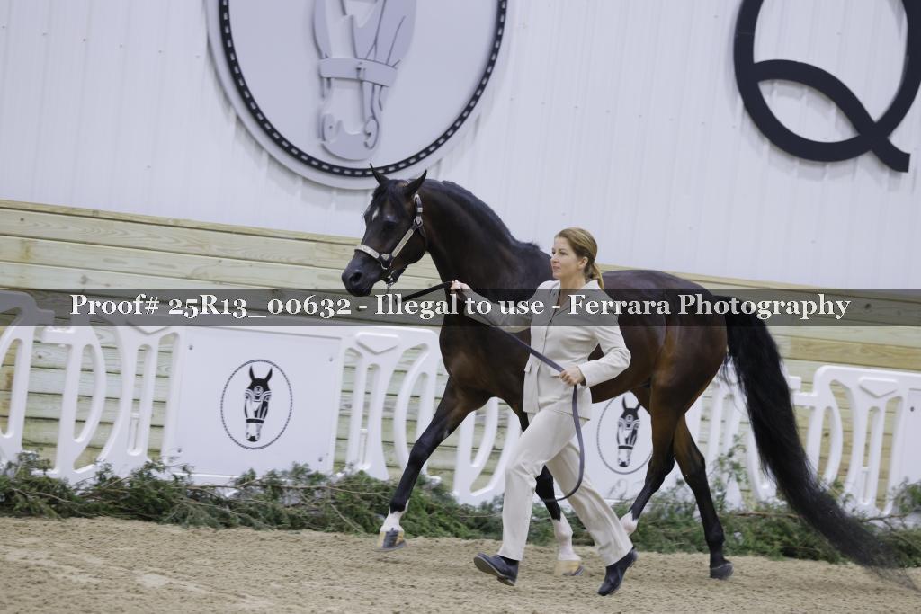 Proof 25R13_00632