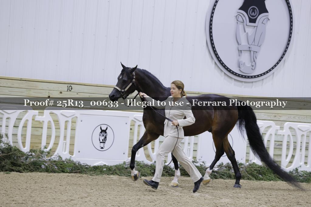 Proof 25R13_00633