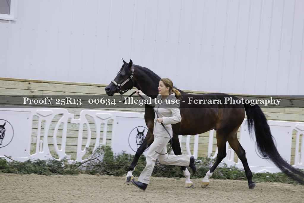 Proof 25R13_00634