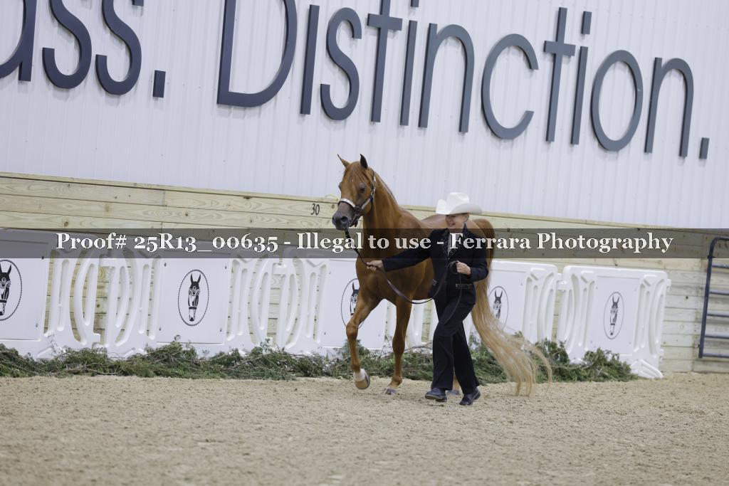 Proof 25R13_00635