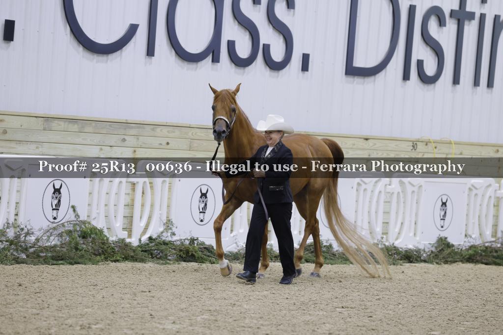 Proof 25R13_00636