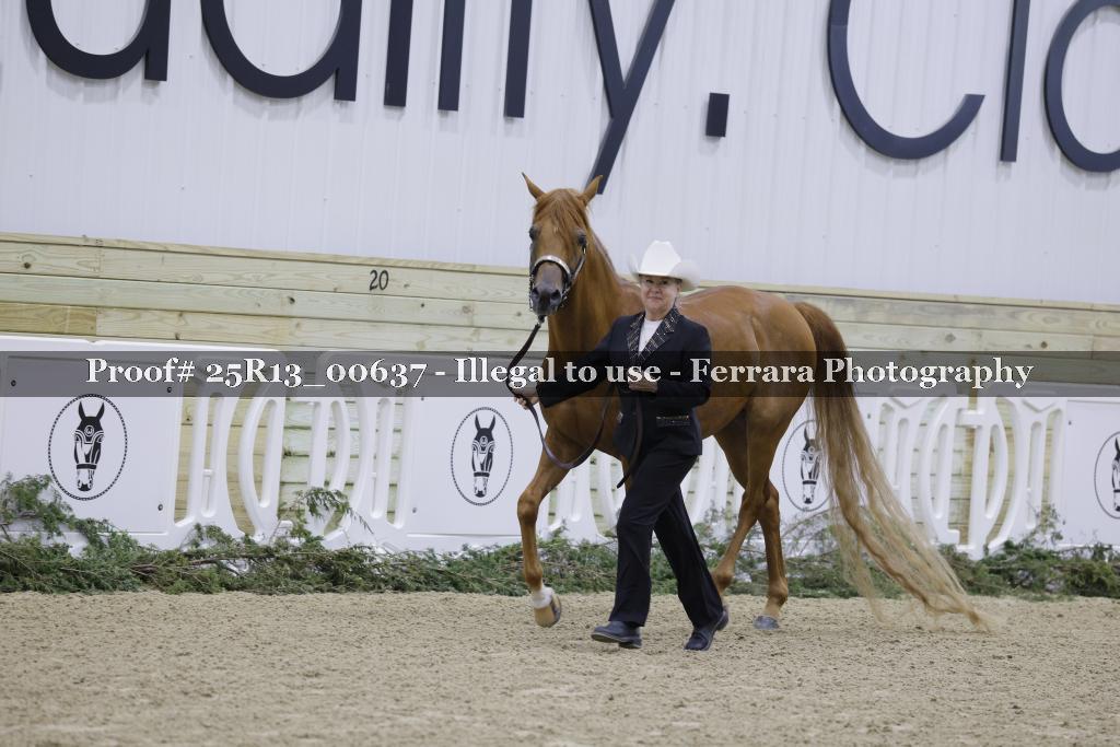 Proof 25R13_00637