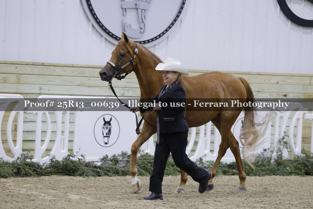 Proof 25R13_00639