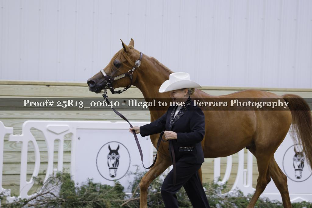 Proof 25R13_00640