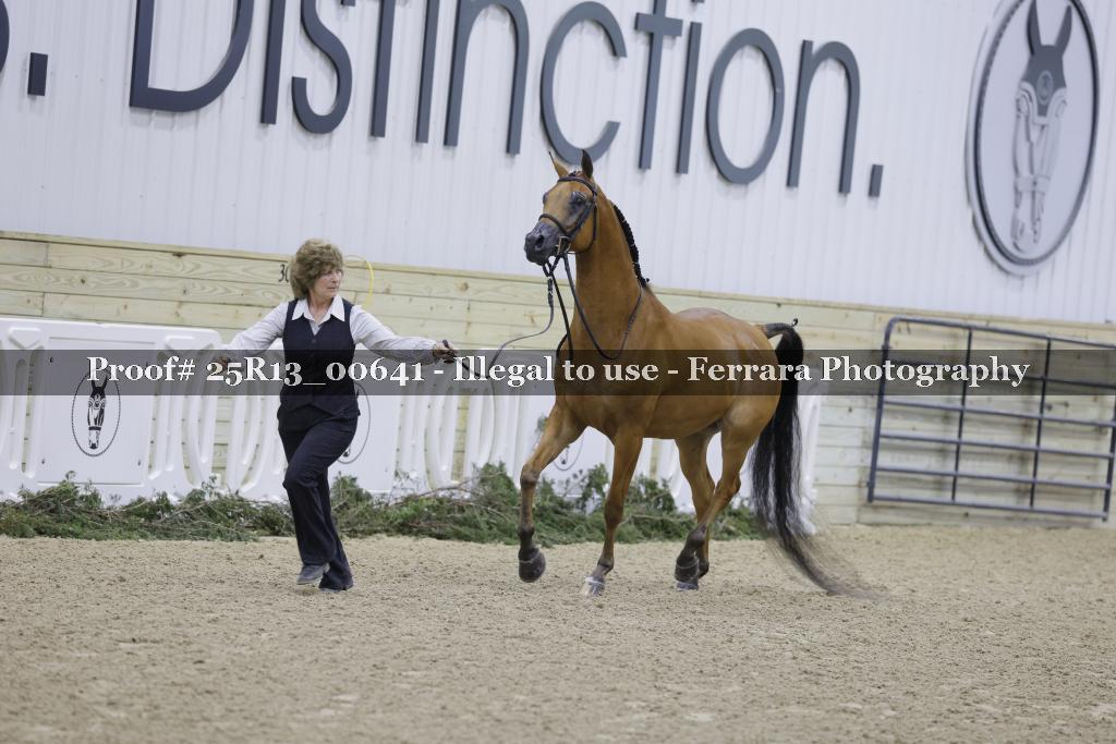 Proof 25R13_00641