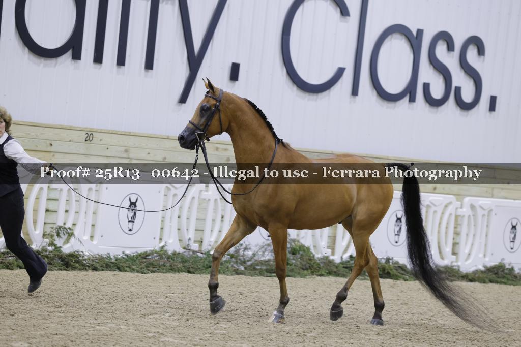 Proof 25R13_00642