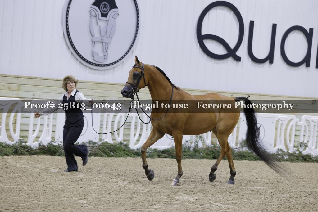 Proof 25R13_00643
