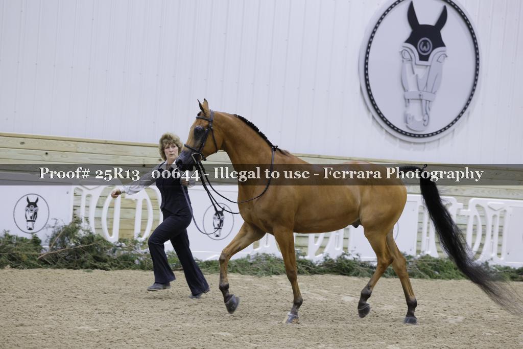 Proof 25R13_00644