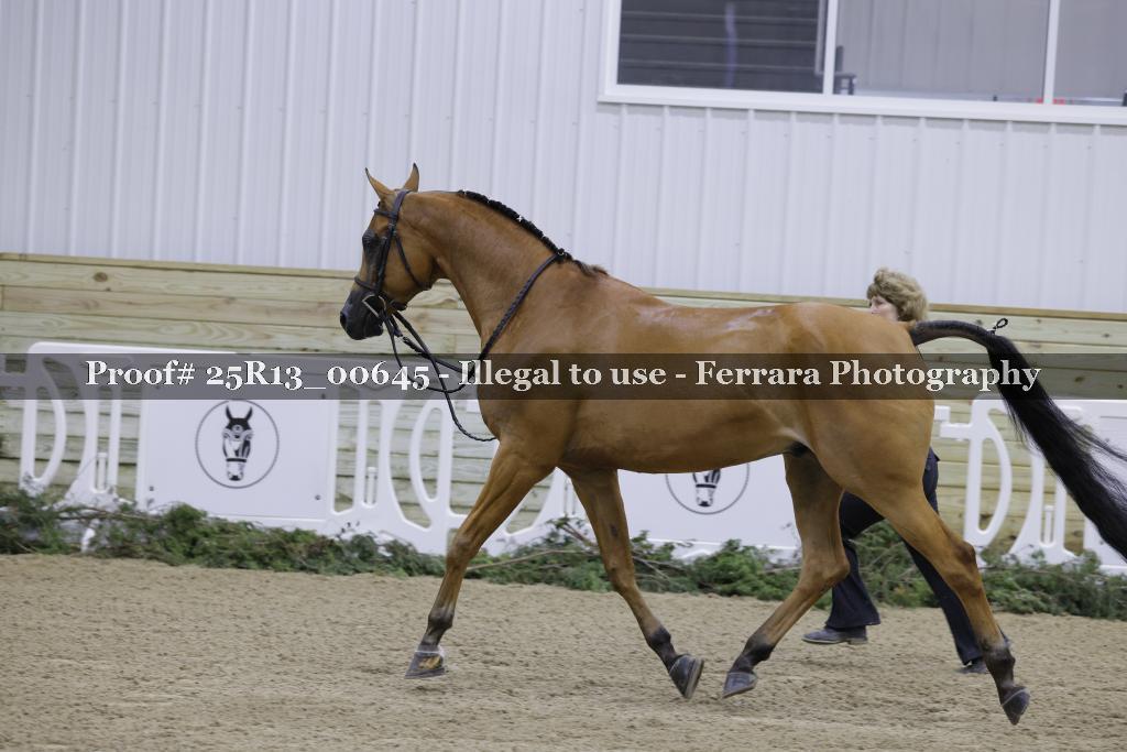 Proof 25R13_00645