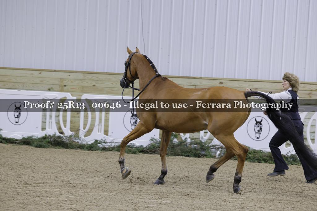 Proof 25R13_00646
