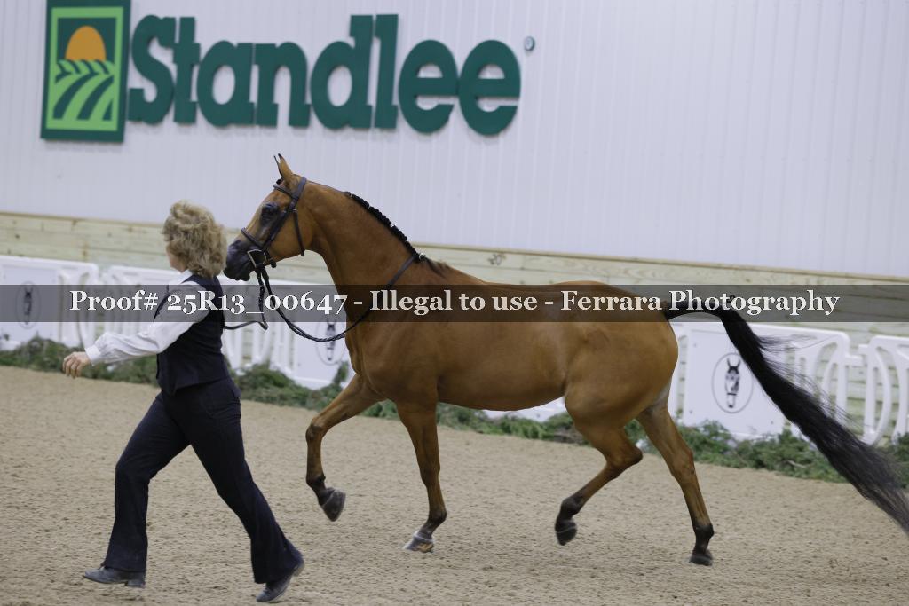 Proof 25R13_00647