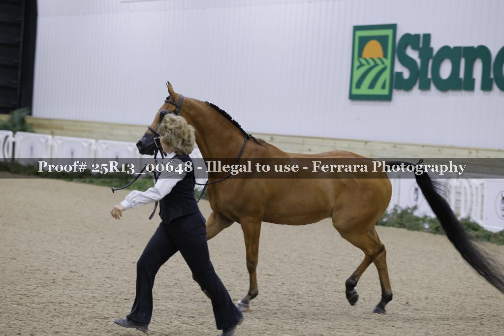 Proof 25R13_00648