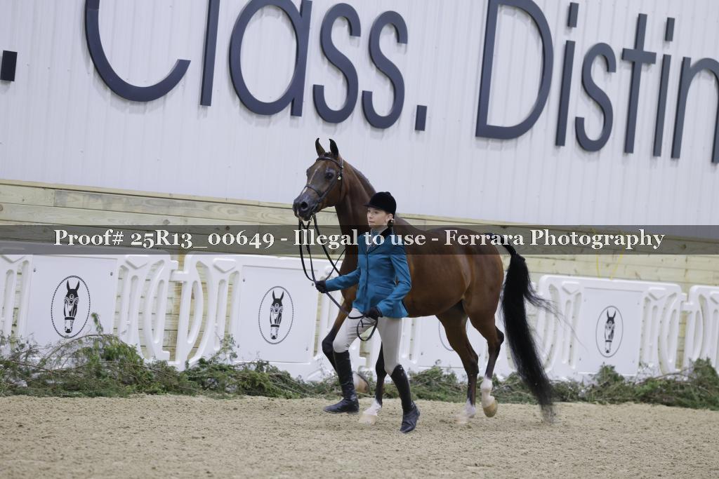 Proof 25R13_00649