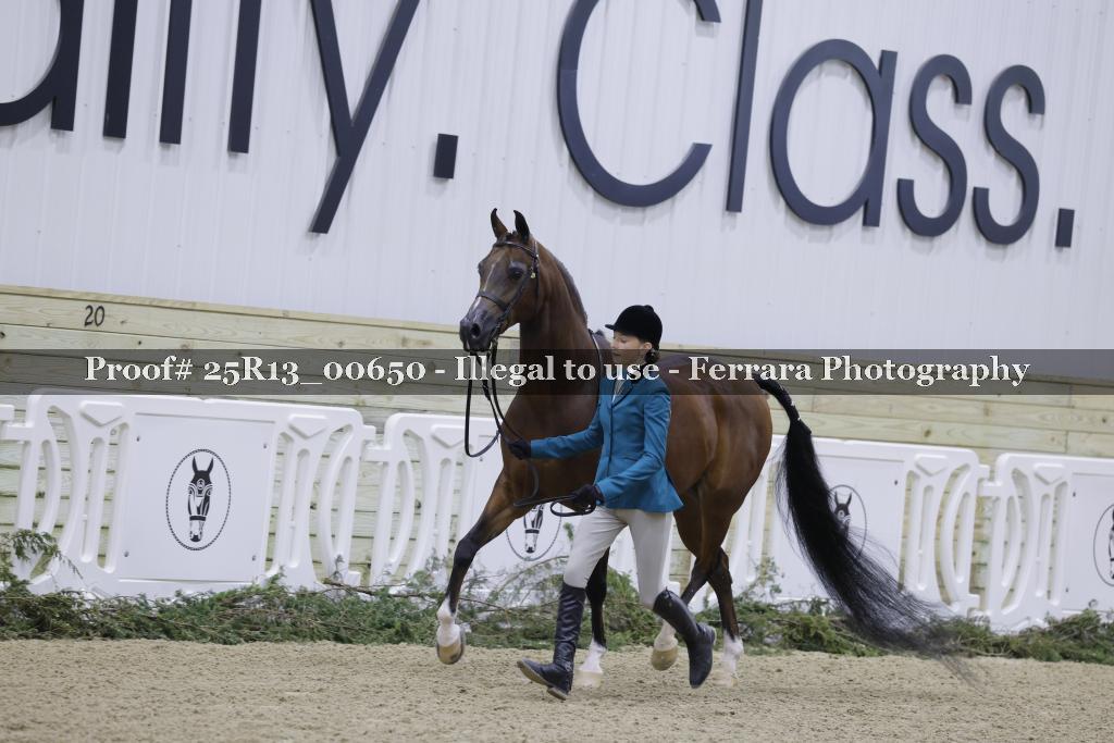 Proof 25R13_00650