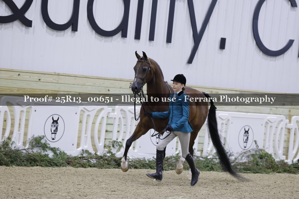 Proof 25R13_00651