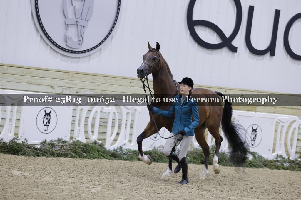 Proof 25R13_00652