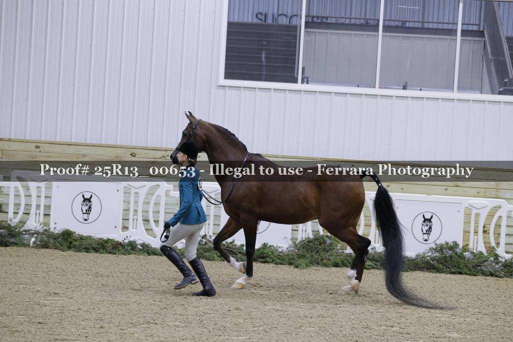 Proof 25R13_00653