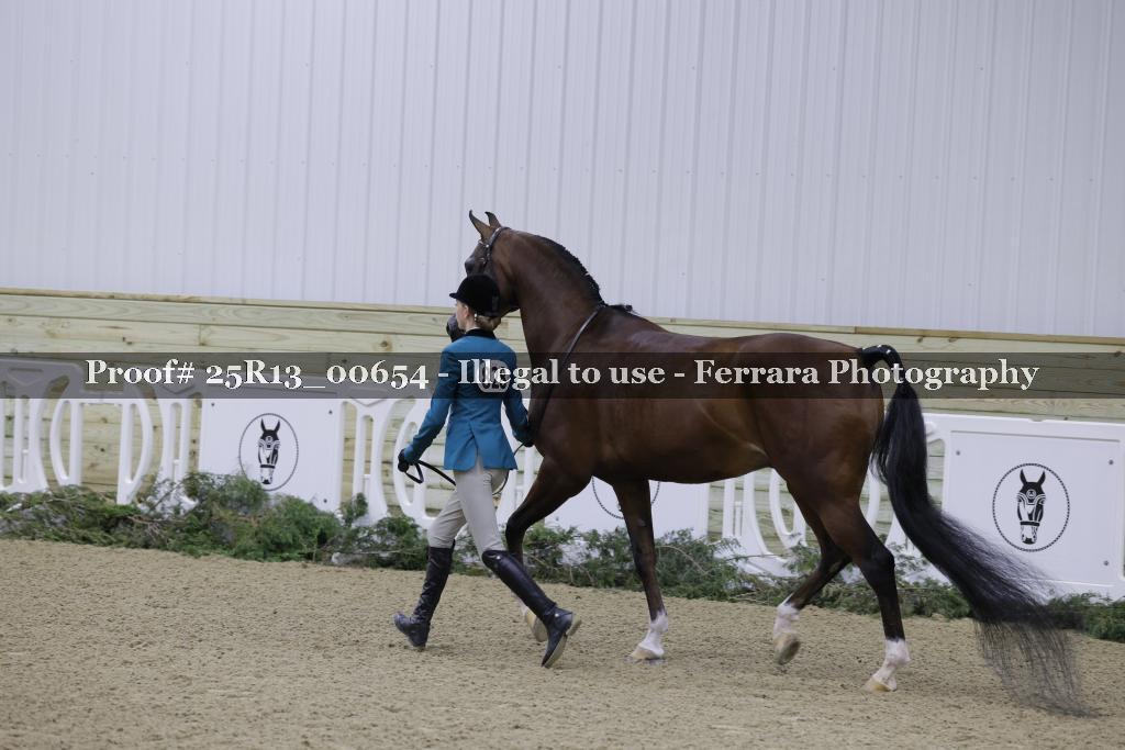 Proof 25R13_00654