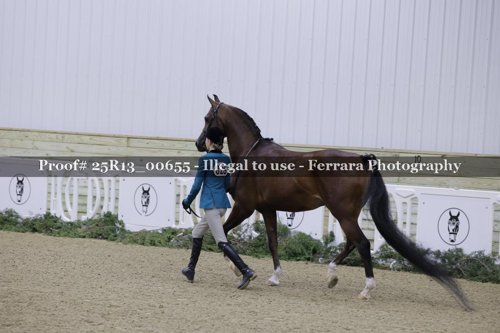 Proof 25R13_00655