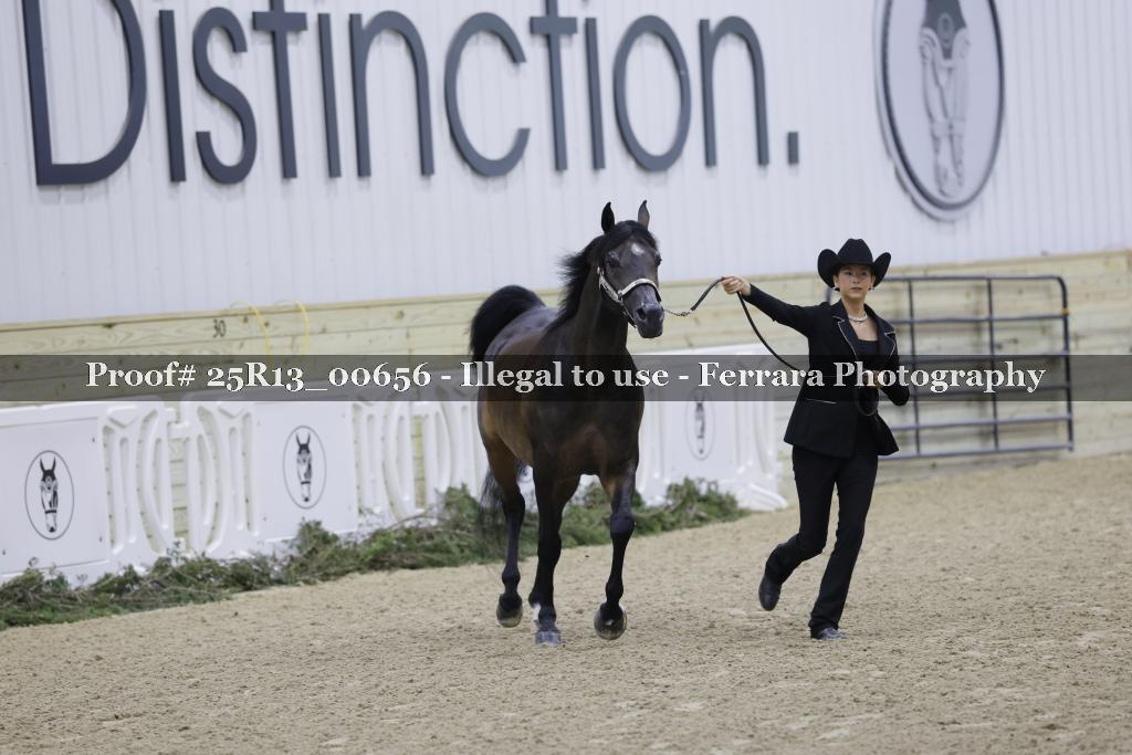 Proof 25R13_00656