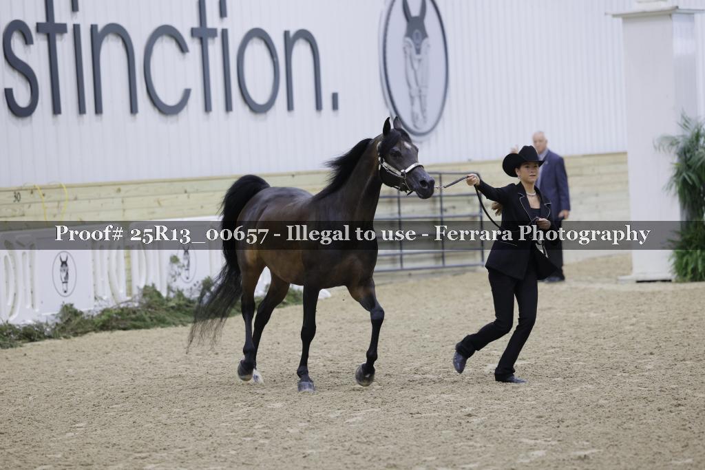 Proof 25R13_00657