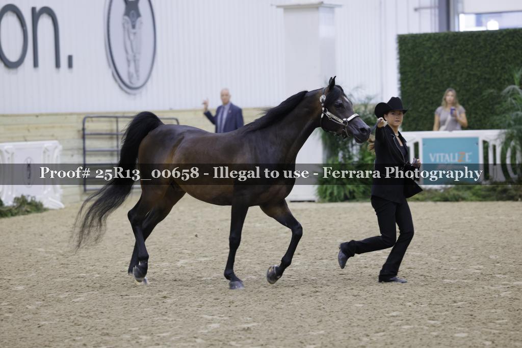 Proof 25R13_00658