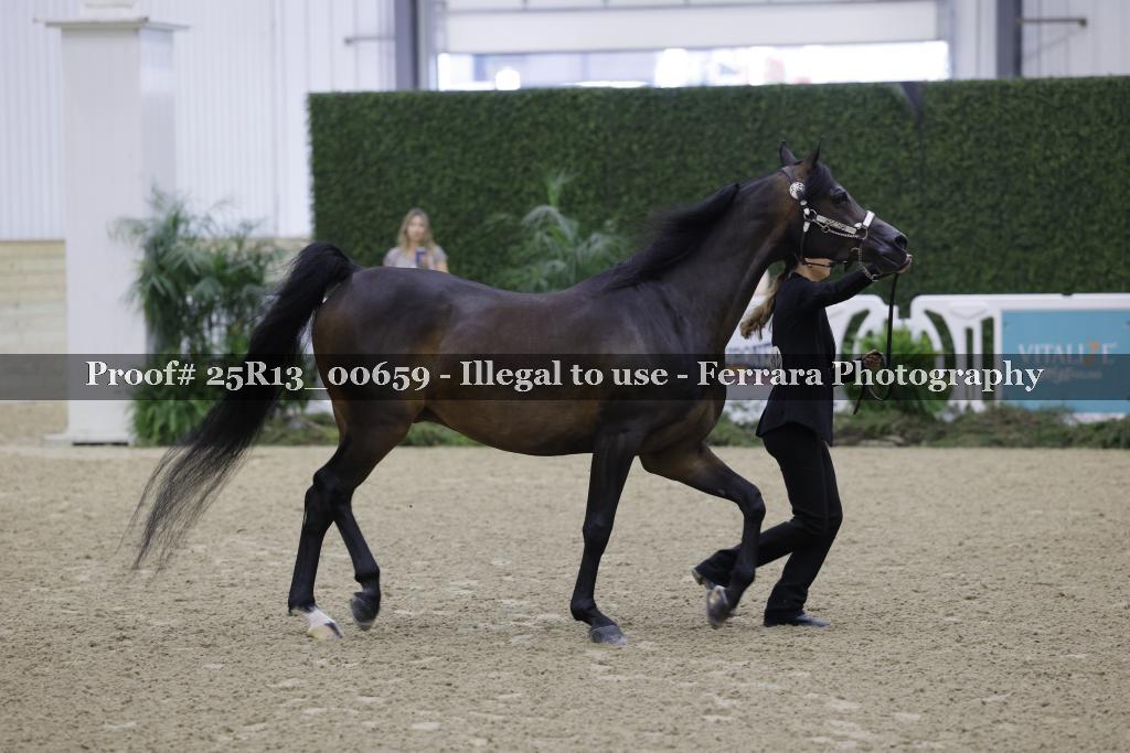 Proof 25R13_00659