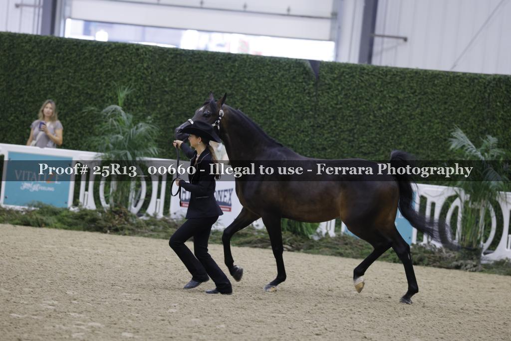Proof 25R13_00660