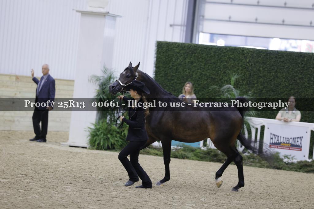 Proof 25R13_00661