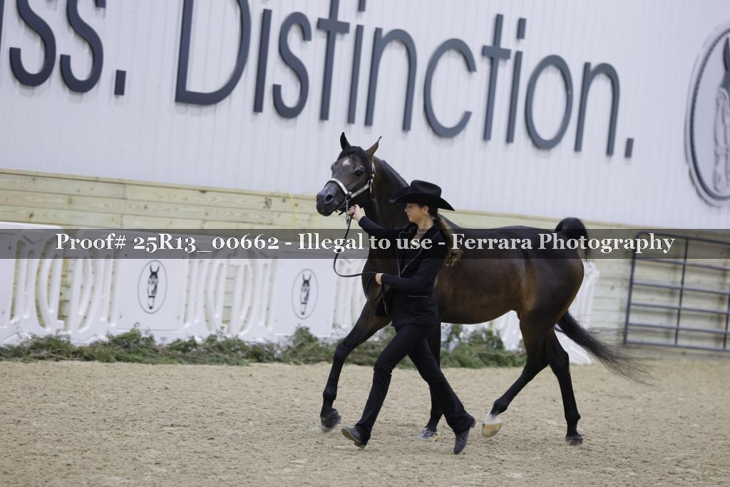 Proof 25R13_00662
