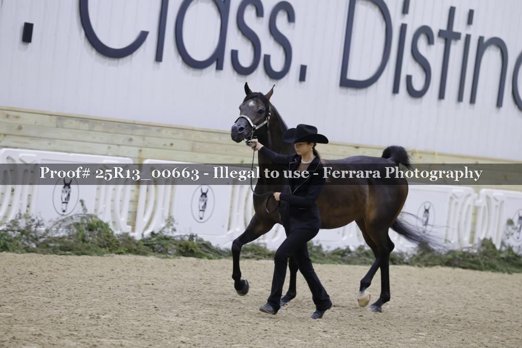 Proof 25R13_00663