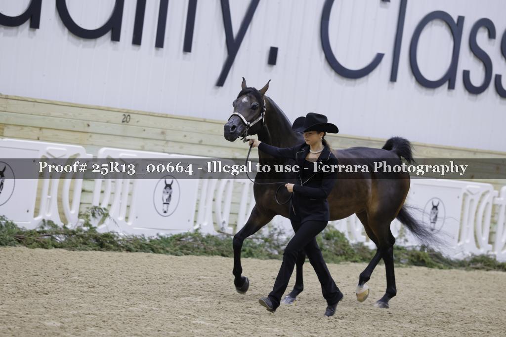 Proof 25R13_00664