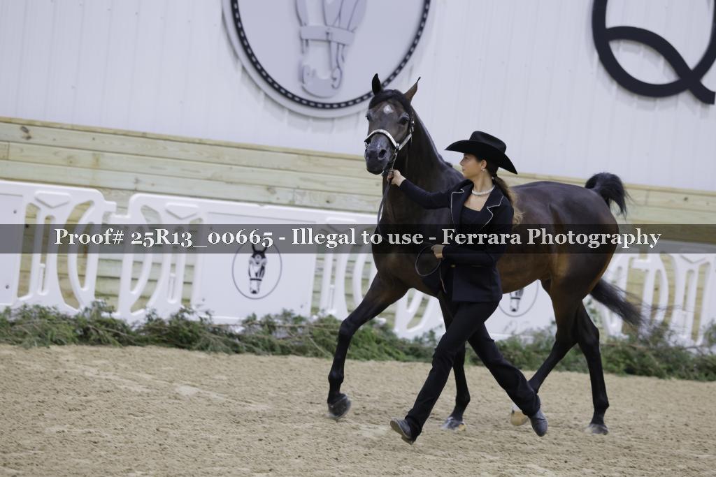 Proof 25R13_00665