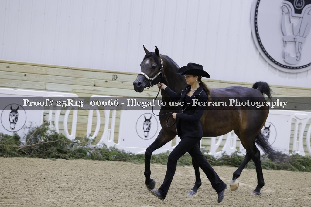 Proof 25R13_00666