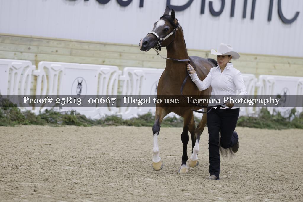 Proof 25R13_00667