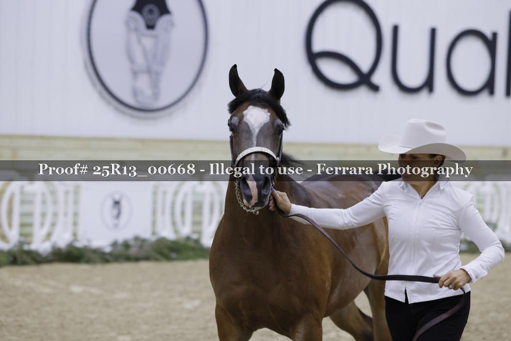 Proof 25R13_00668