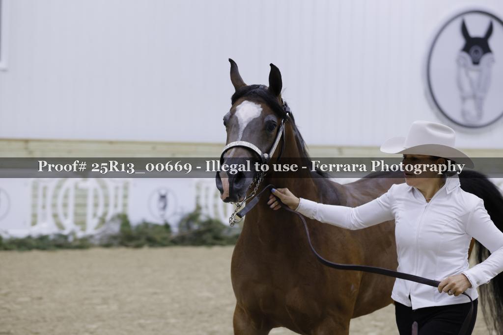 Proof 25R13_00669