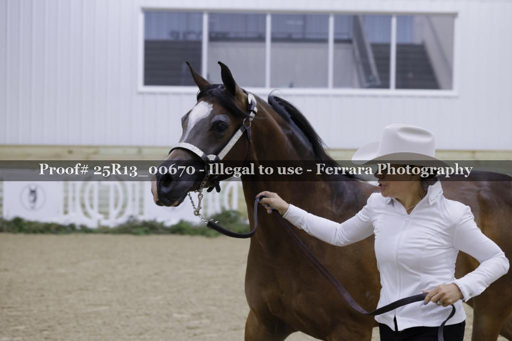 Proof 25R13_00670