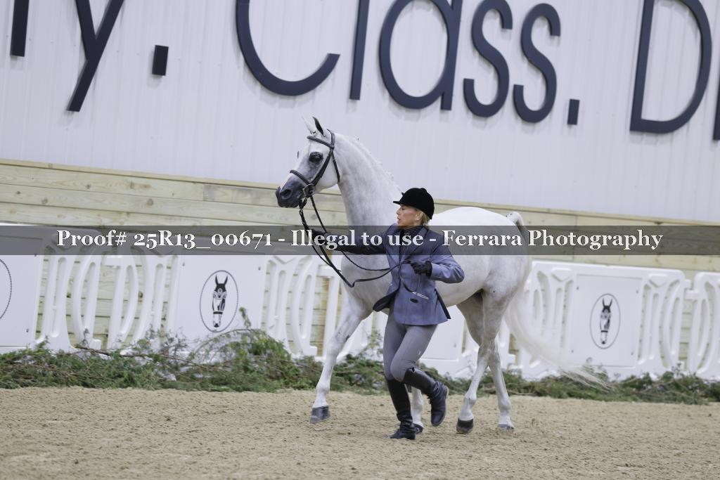 Proof 25R13_00671